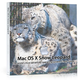 Illustration for article titled Design a More Appealing Snow Leopard Box
